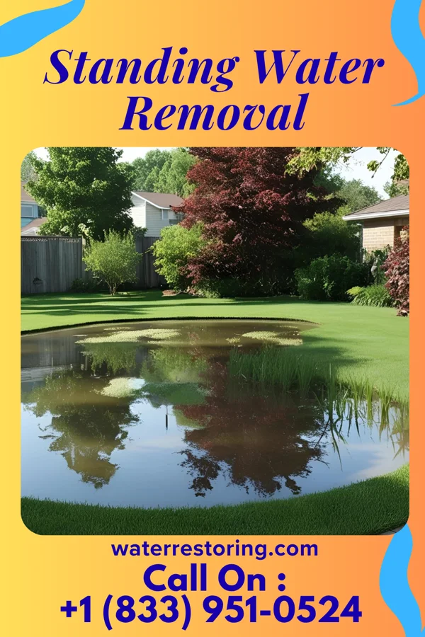 Standing Water Removal in Florien, LA